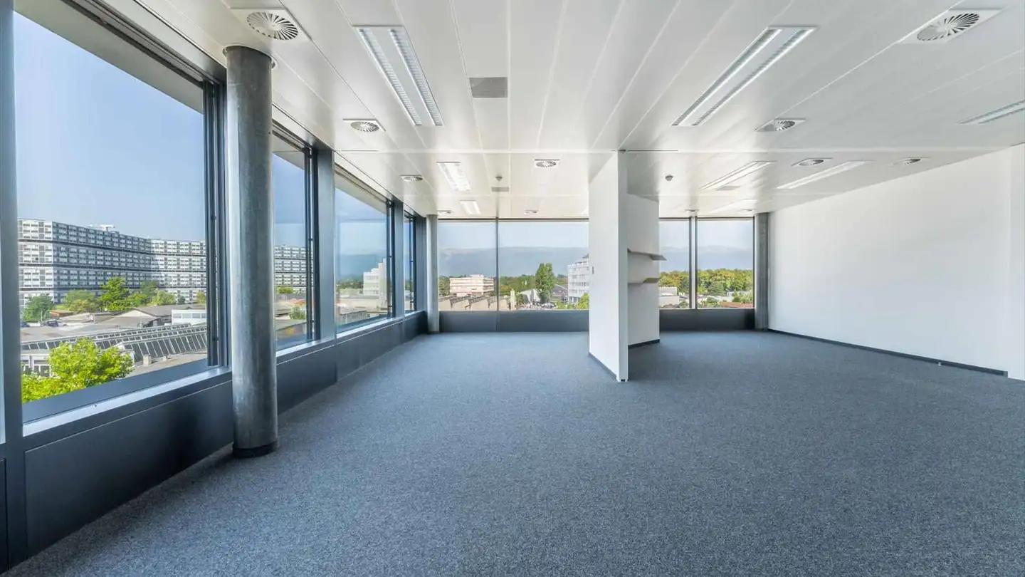 Commerciale in affitto - Passerelle Du Lignon, 1219 Le Lignon - Photo 4