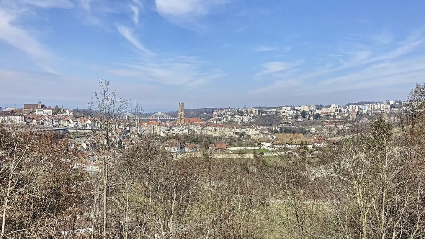 Apartment for rent - Rue Du Botzet, 1700 Fribourg - Photo 3