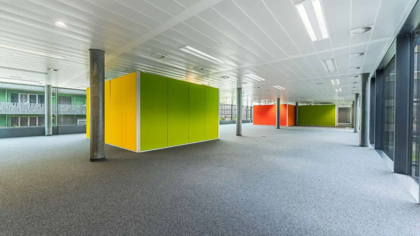 Commerciale in affitto - Chemin Du Château-Bloch 11, 1219 Le Lignon - Photo 4