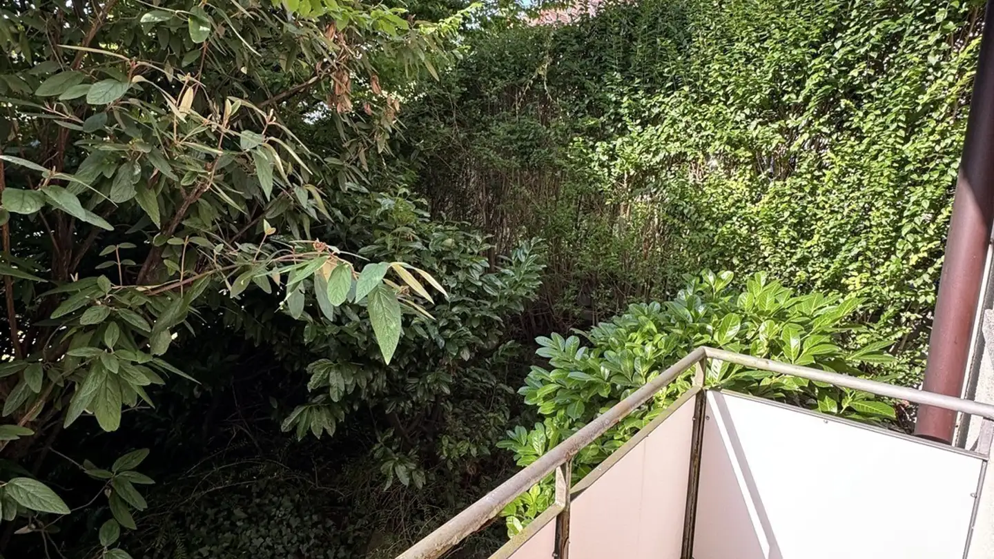 Zimmer mieten - Sempacherstrasse 23, 8032 Zürich - Foto 3