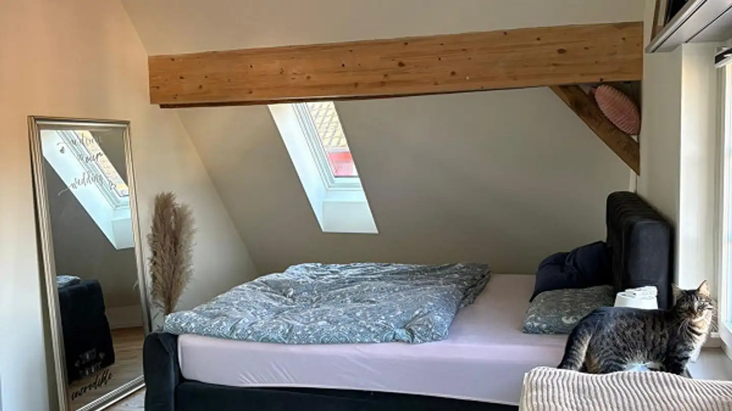 Attique à louer - Weiherstrasse 1, 8461 Oerlingen - Photo 4