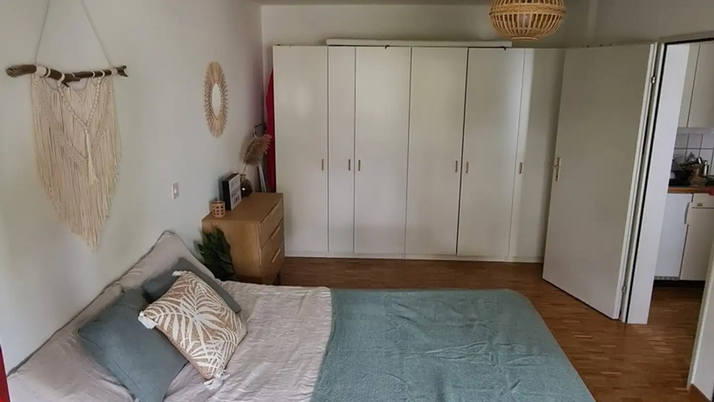 Appartamento in affitto - 8610 Uster - Photo 4