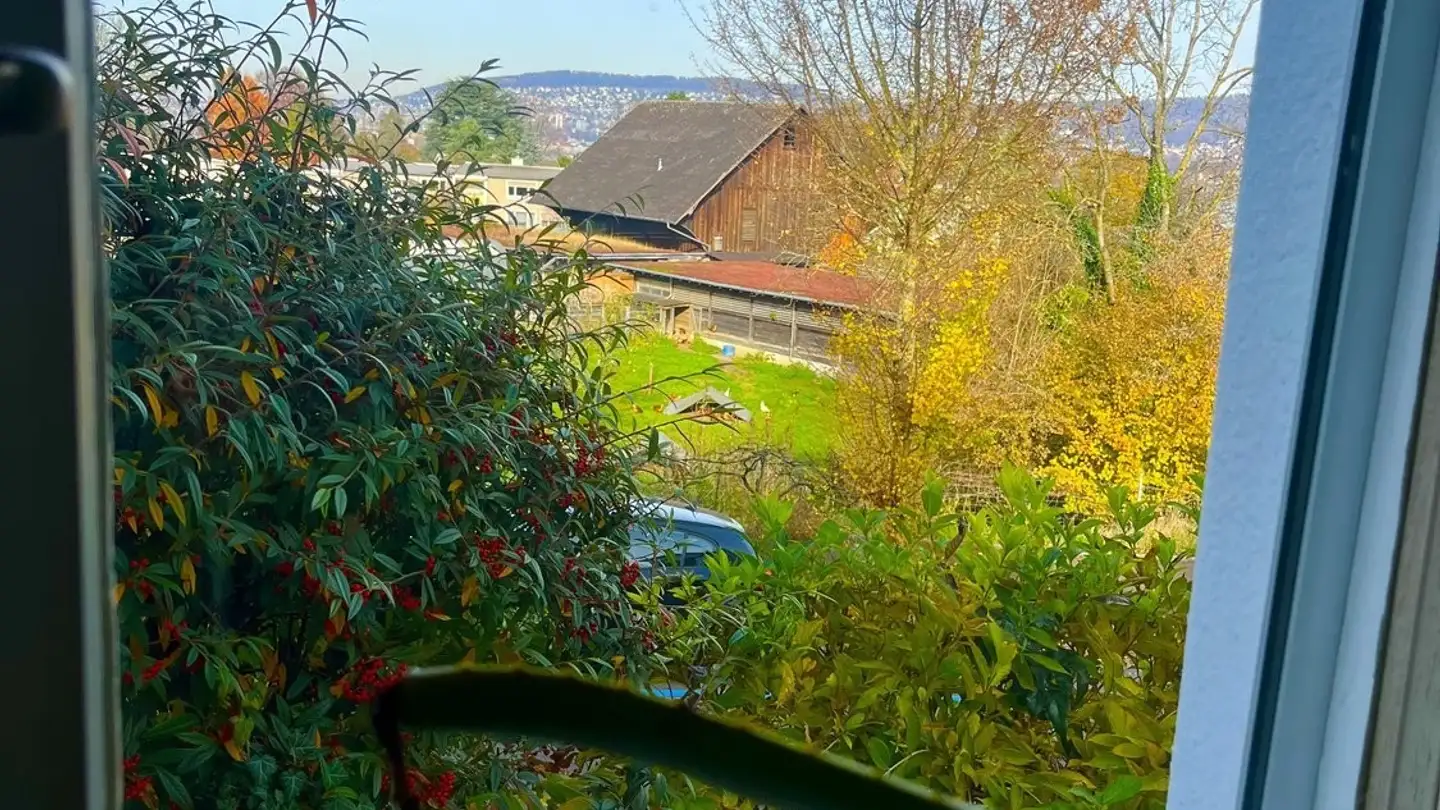 Appartamento ammobiliato in affitto - 8038 Zürich - Photo 4