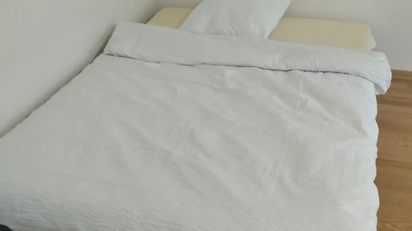 Appartement à louer - Rue du Vieux-Moulin, 1213 Onex - Photo 2