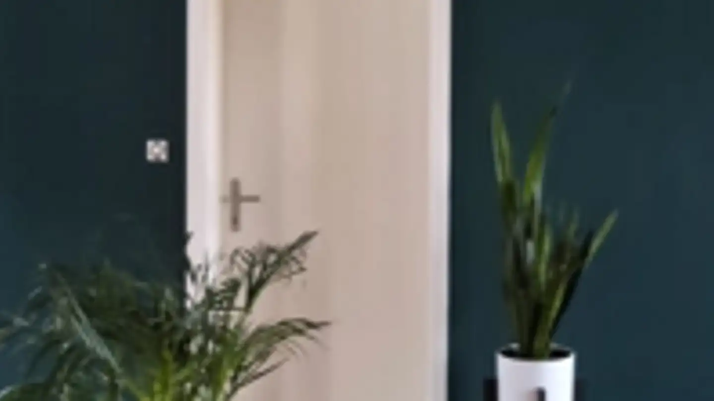 Wohnung mieten - Rämsen 487, 9063 Stein AR