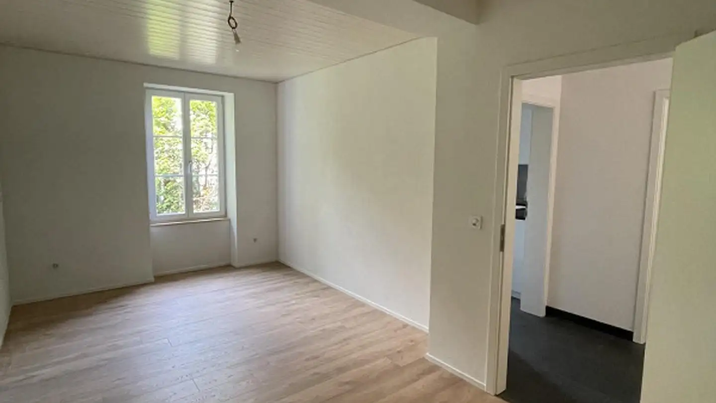 Appartamento in affitto - Delsbergstrasse 22, 4203 Grellingen