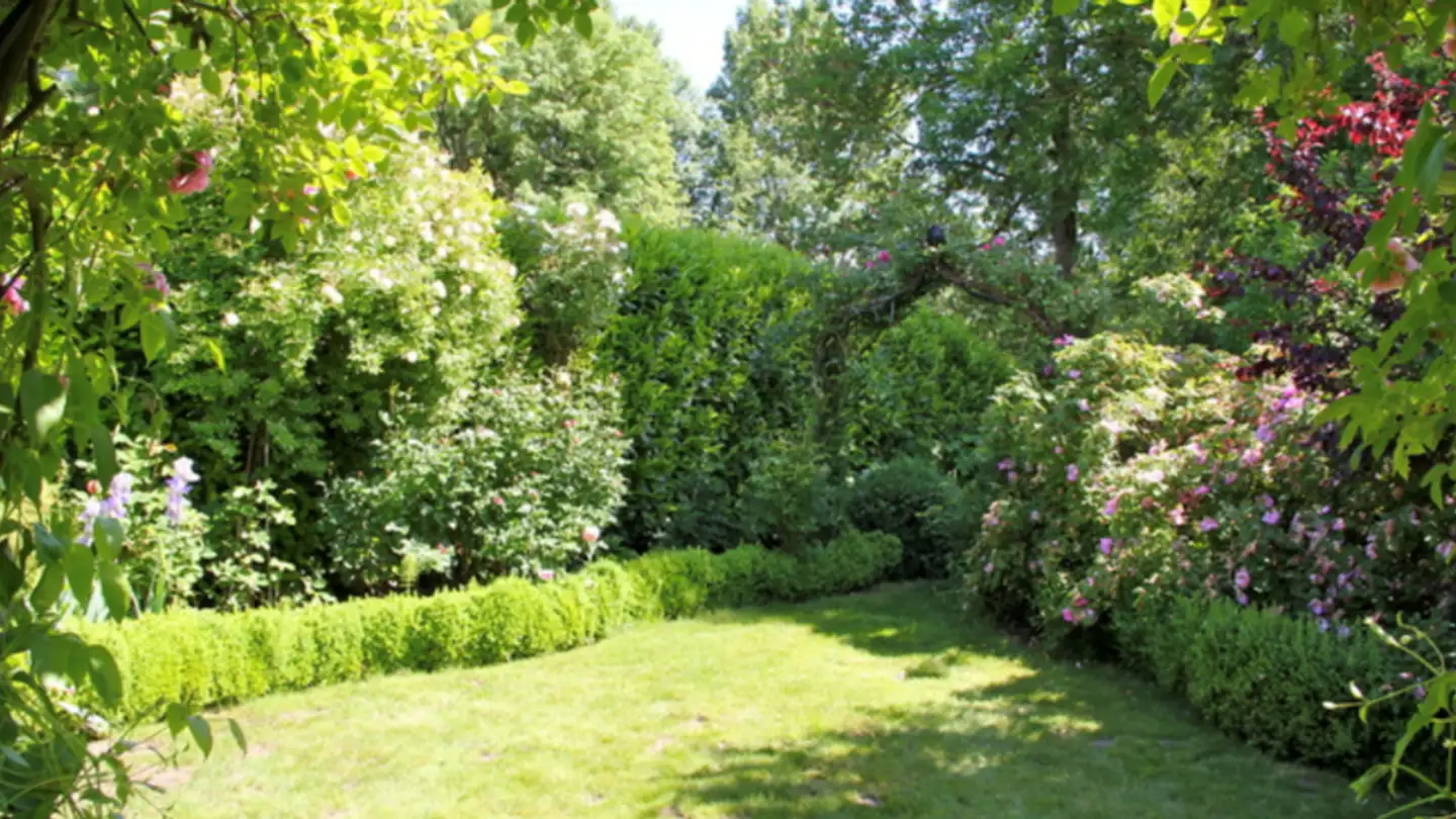 Single house for sale - 1263 Crassier - Photo 2