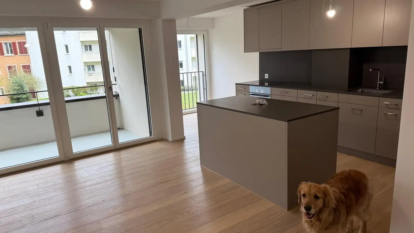 Appartement à louer - Lehenstrasse 49, 8037 Zürich