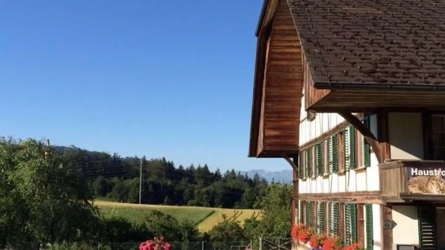 Apartment for rent - Lochiweg 416, 3082 Schlosswil - Photo 2