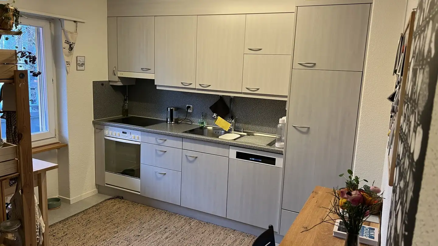 Appartement à louer - Allmendstrasse 5, 8952 Schlieren - Photo 2