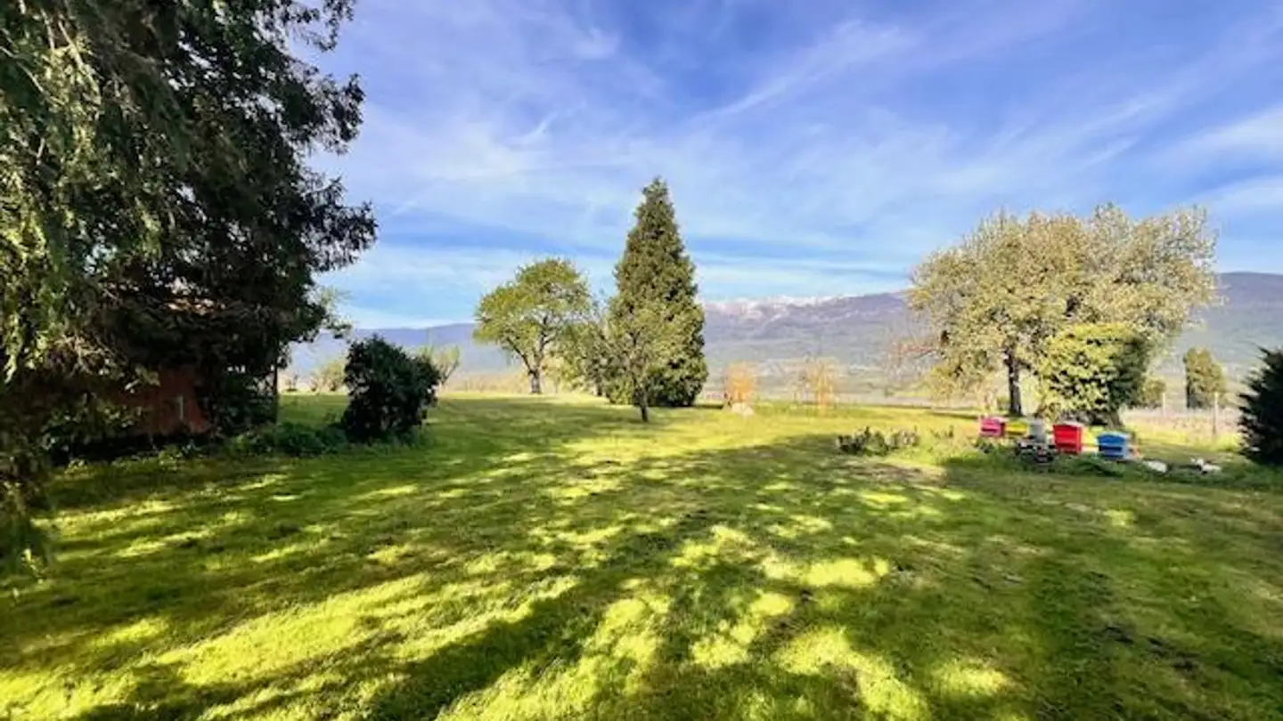 Single house for sale - 1242 Satigny - Photo 4