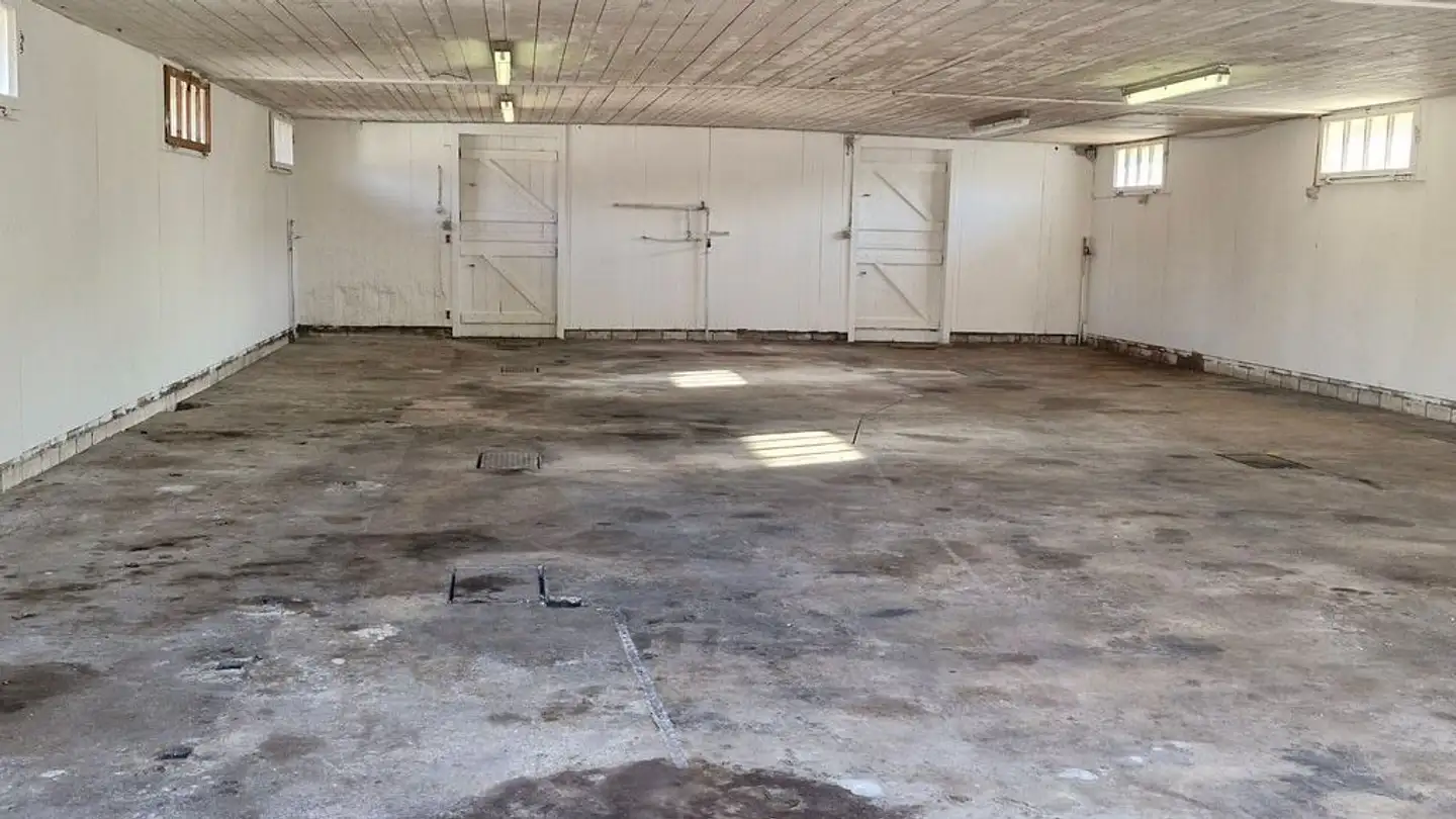 Lagerraum mieten - Bötschimühle, 9215 Buhwil - Foto 3