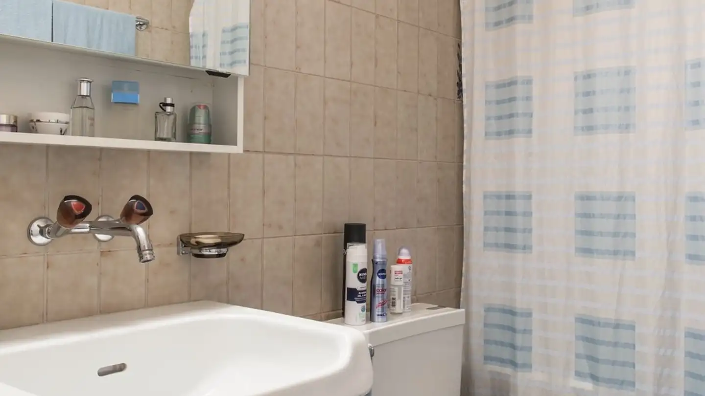 Appartamento in affitto - Untermattstrasse 8b, 8805 Richterswil - Foto 2