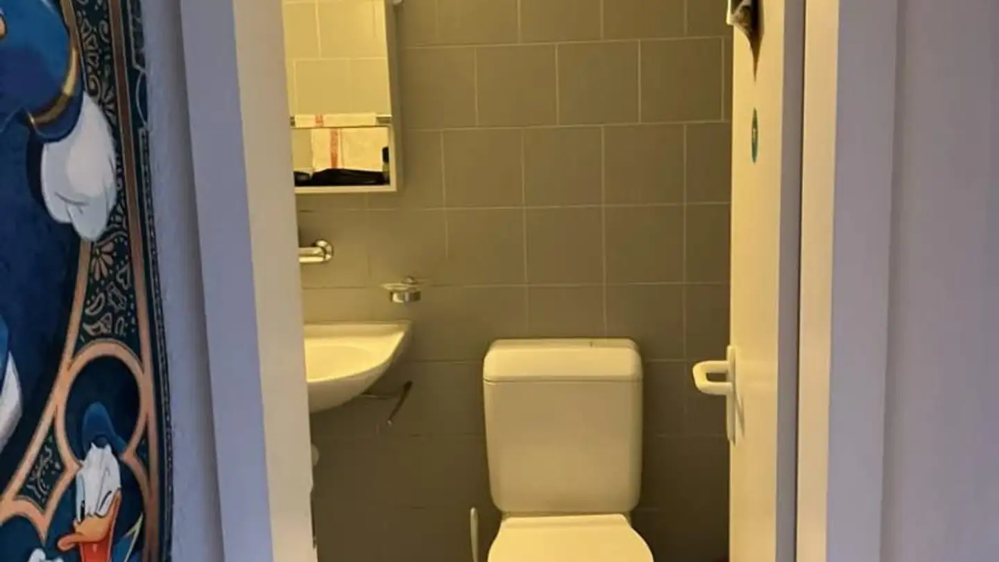 Appartamento in affitto - 8134 Adliswil