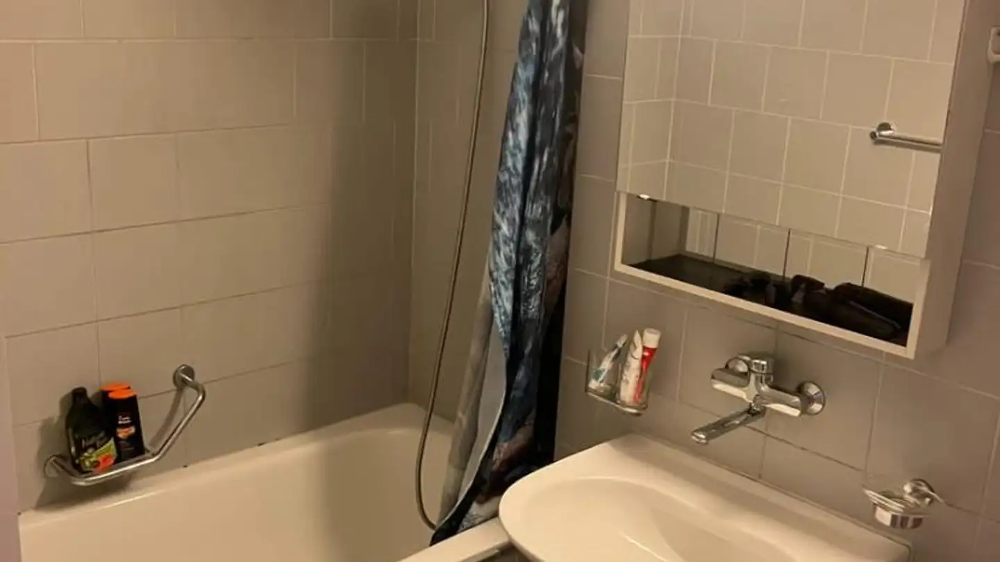 Appartamento in affitto - 8134 Adliswil - Foto 2