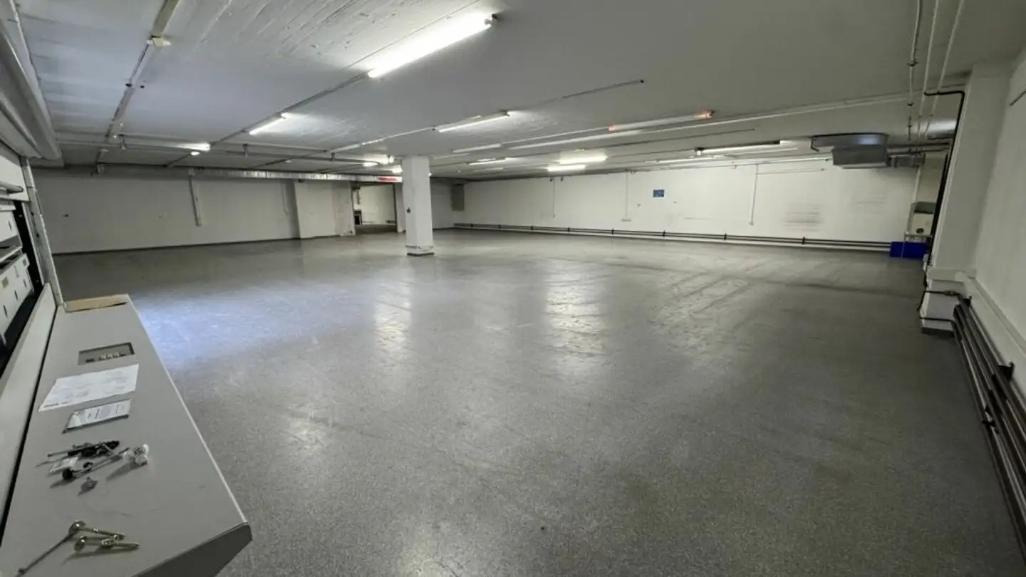 Commerciale in affitto - Pfeffingerring 201, 4147 Aesch BL - Photo 4