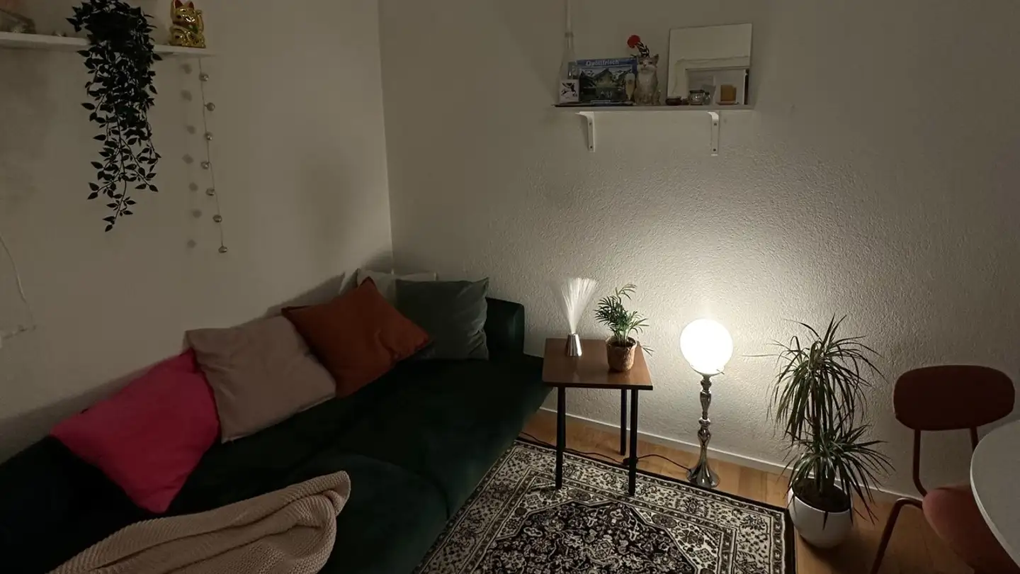 Single room for rent - Lindstrasse 38, 8400 Winterthur - Photo 2