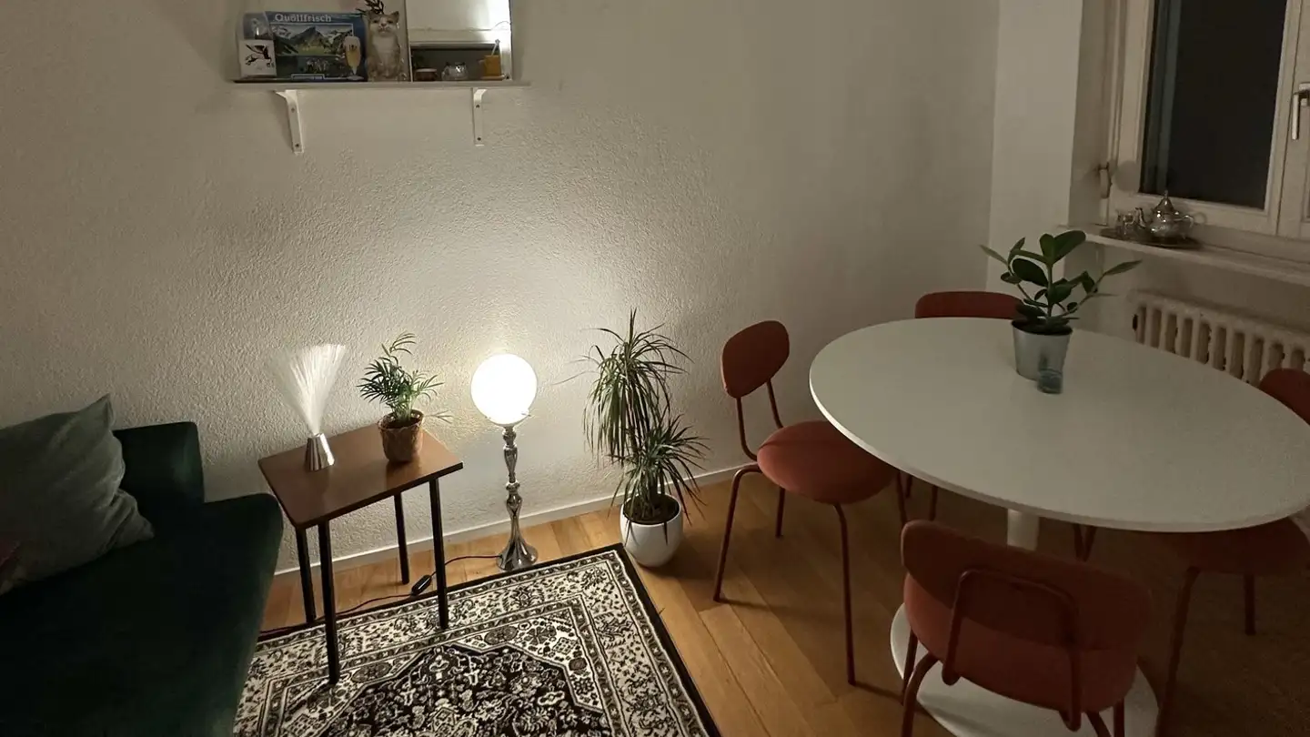 Single room for rent - Lindstrasse 38, 8400 Winterthur - Photo 3