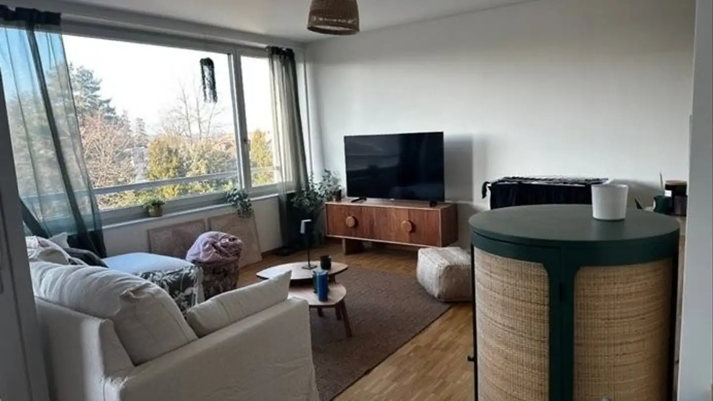 Appartamento in affitto - Avenue Du Grand-Salève, 1255 Veyrier - Foto 3