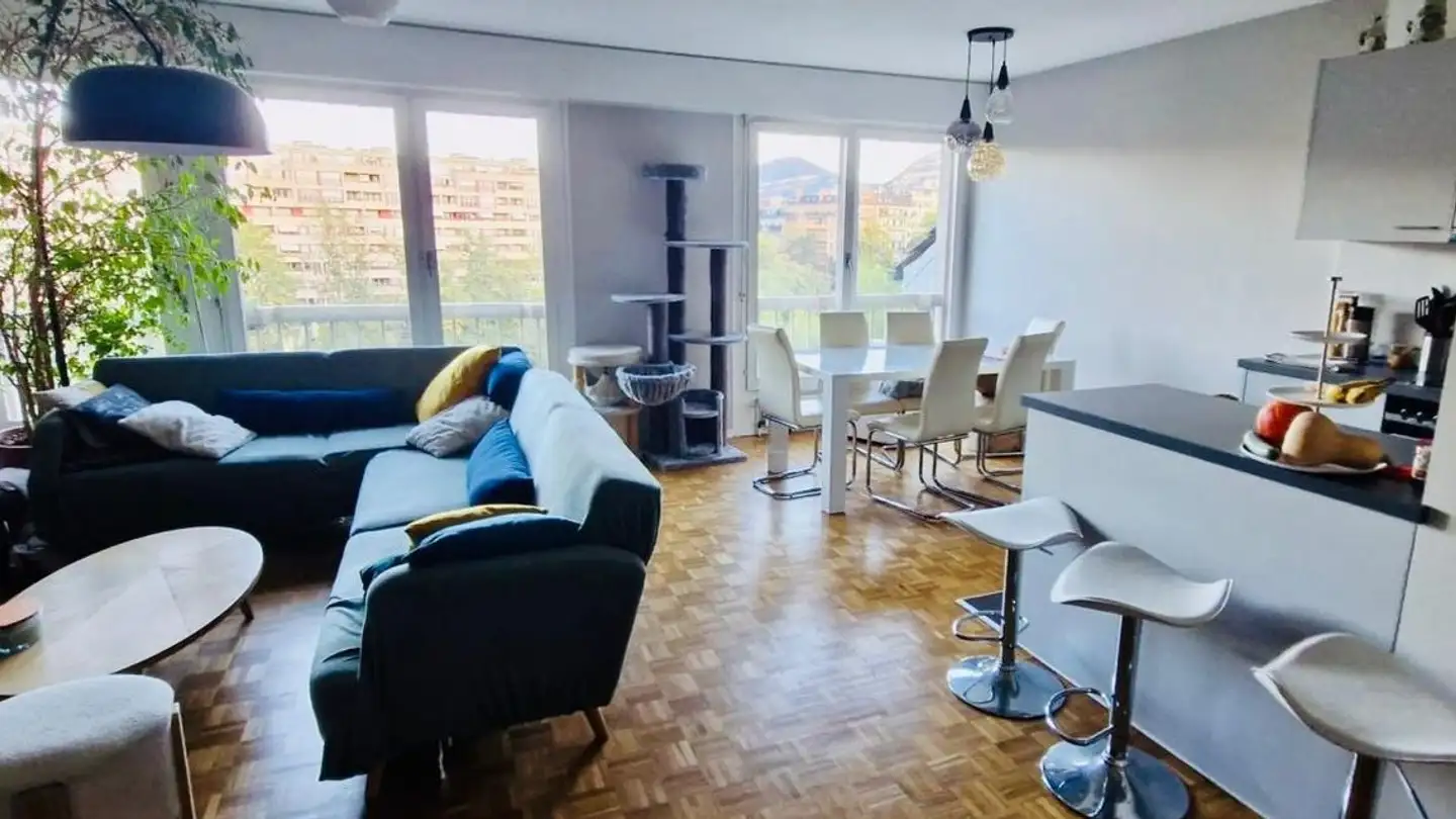 Appartement à louer - Rue Des Allobroges 35, 1227 Les Acacias