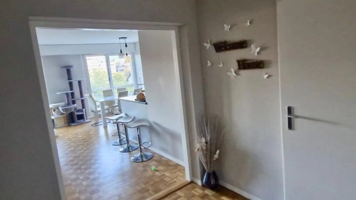 Appartement à louer - Rue Des Allobroges 35, 1227 Les Acacias - Photo 4