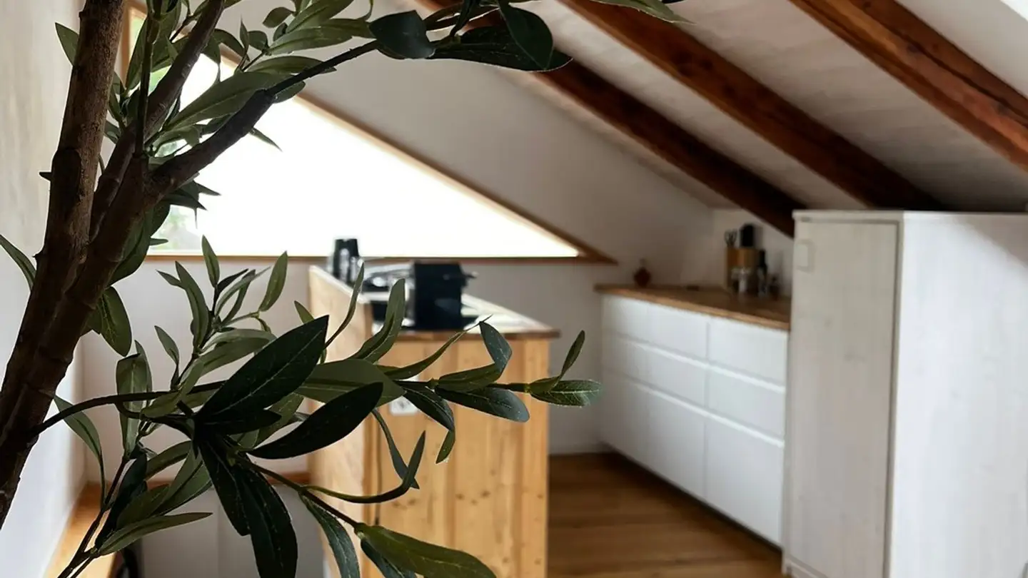 Einfamilienhaus mieten - Trüllergasse, 8245 Feuerthalen - Foto 4