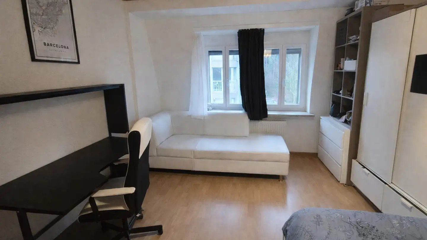 Chambre à louer - Austrasse 43, 8045 Zürich - Photo 3