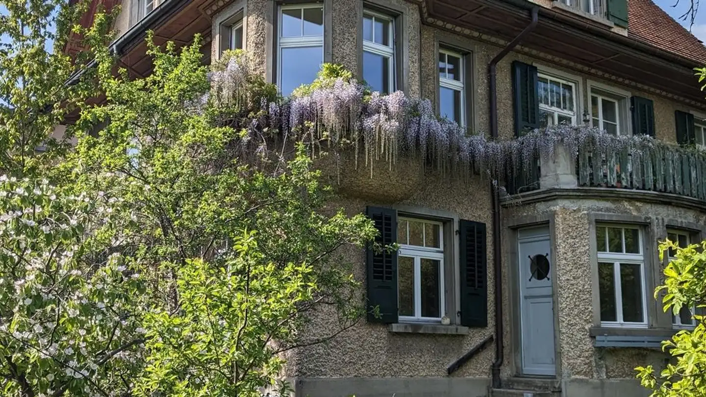 Appartement à louer - 3600 Thun - Photo 2