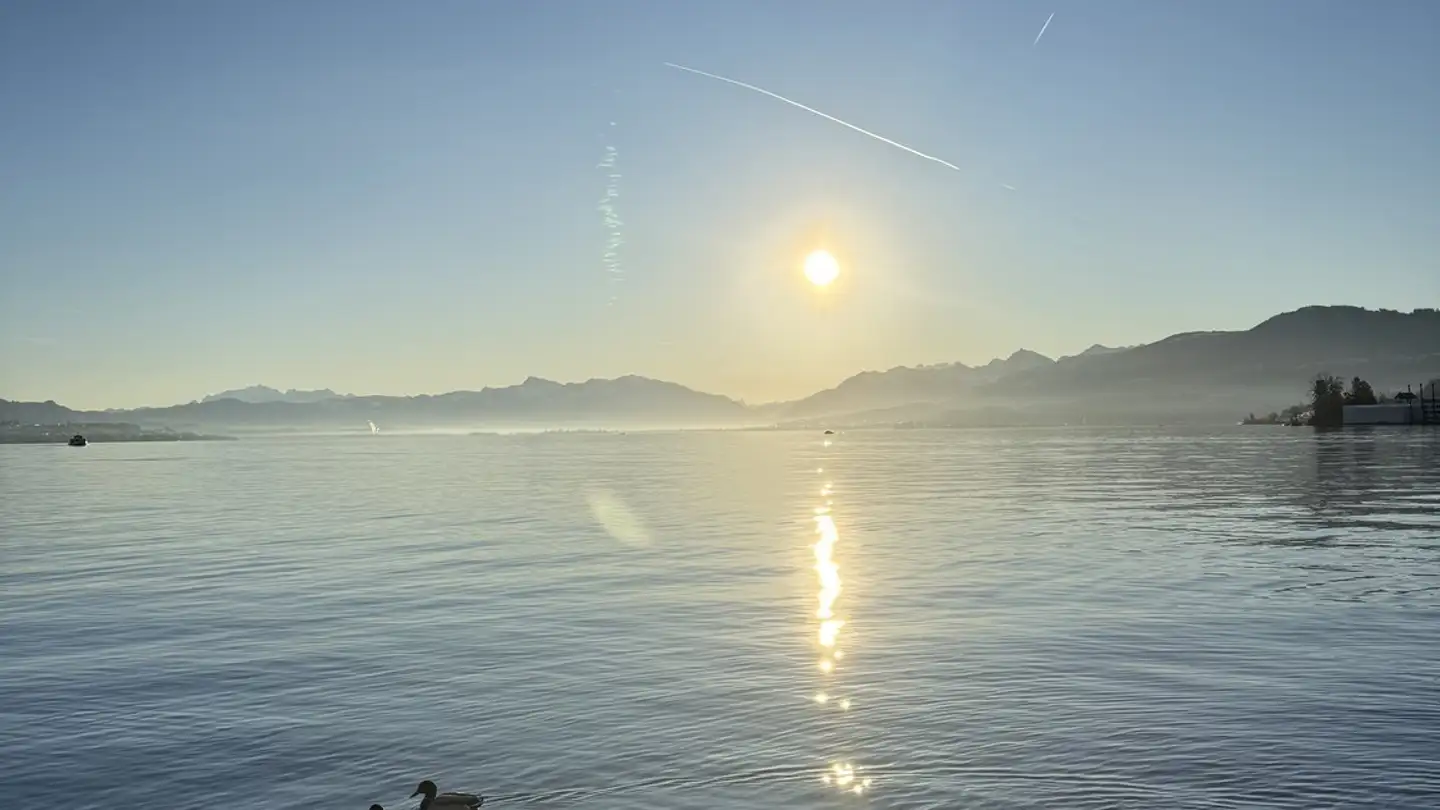 Appartement à louer - 8820 Wädenswil - Photo 2