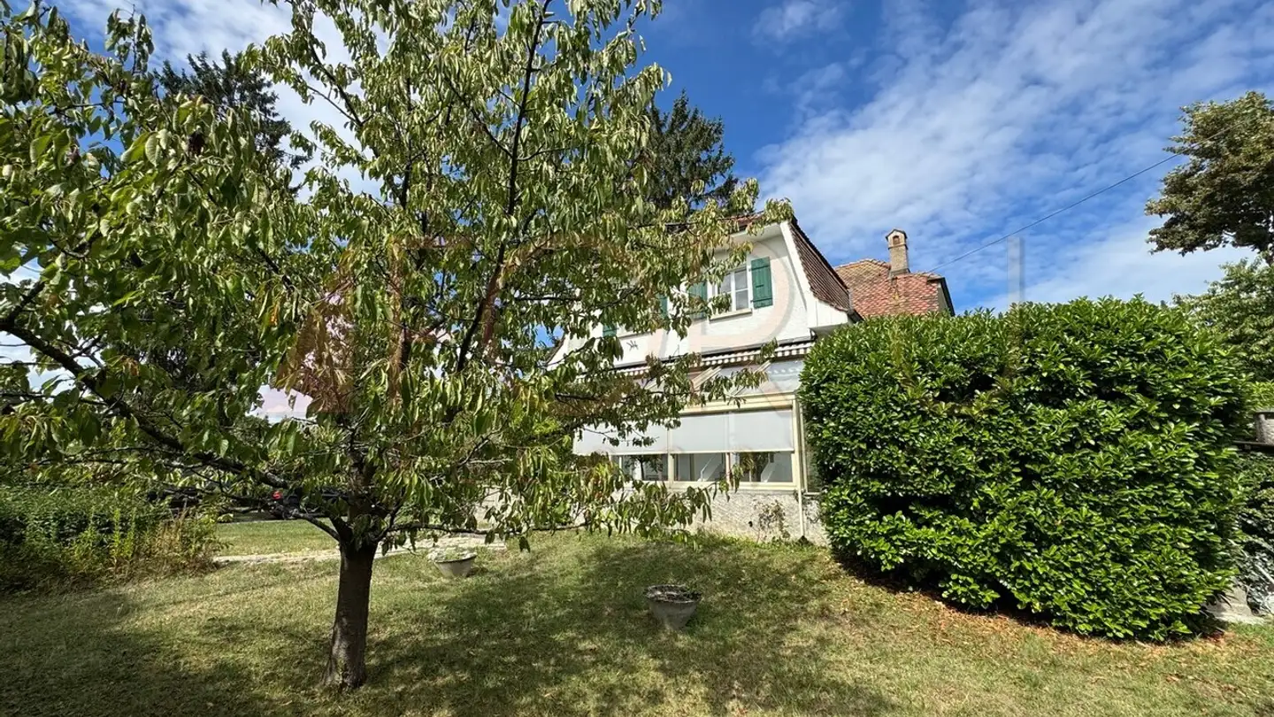 Casa singola in affitto - Chemin Du Saut-Du-Loup, 1225 Chêne-Bourg - Foto 3