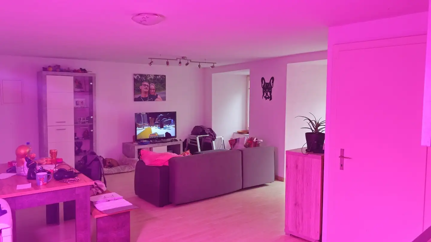 Apartment for rent - 8640 Rapperswil SG