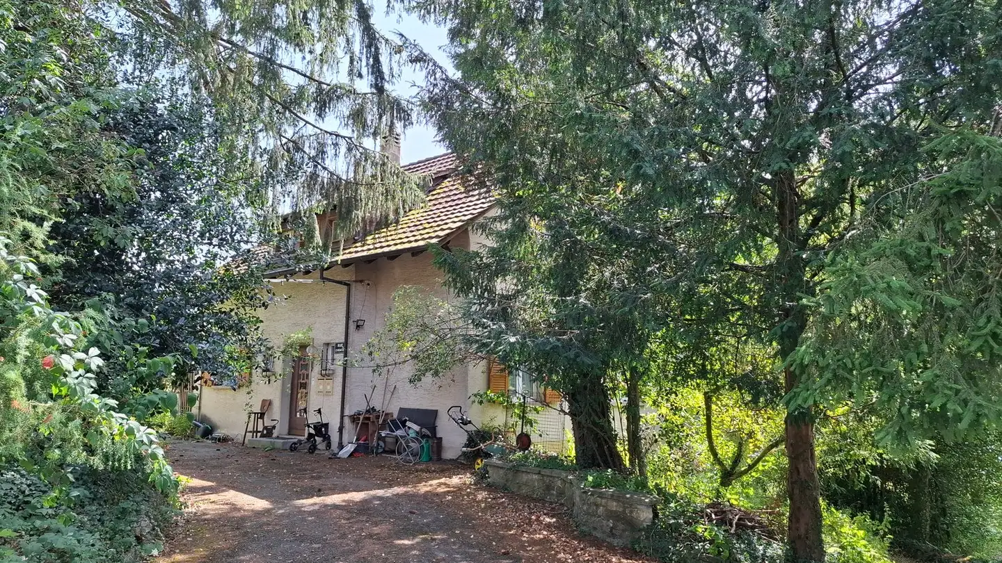 Terreno edificabile in vendita - Fehrenstrasse 68, 4226 Breitenbach - Photo 4