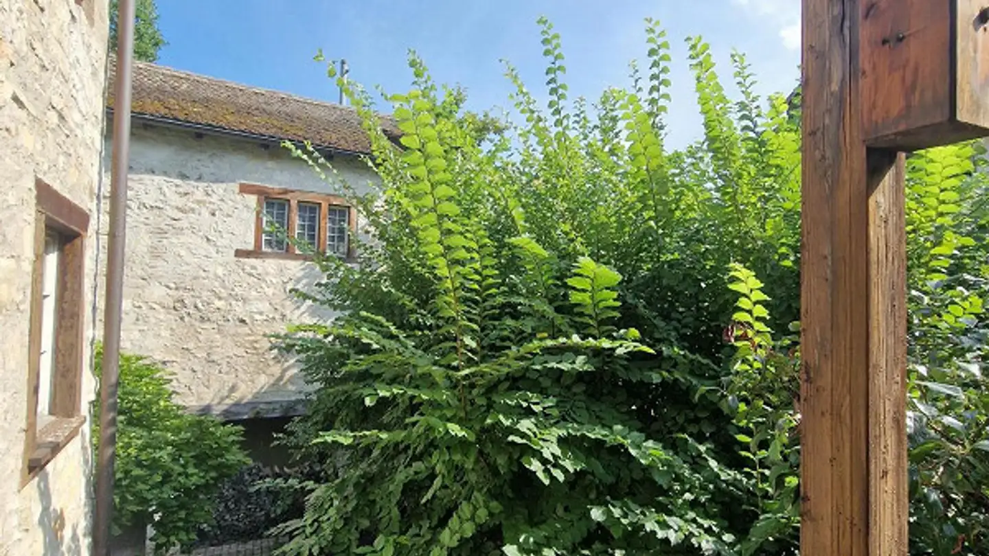 Appartamento in affitto - Bahnhofstrasse 78, 8200 Schaffhausen - Foto 4