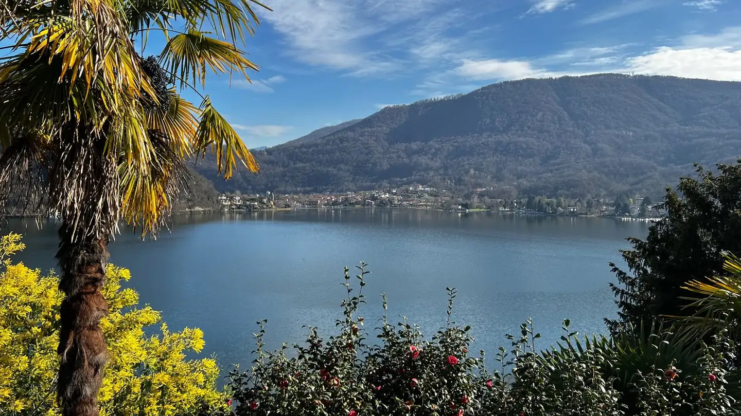 Maison individuelle à vendre - Via Sótt Nüsei, 6984 Pura