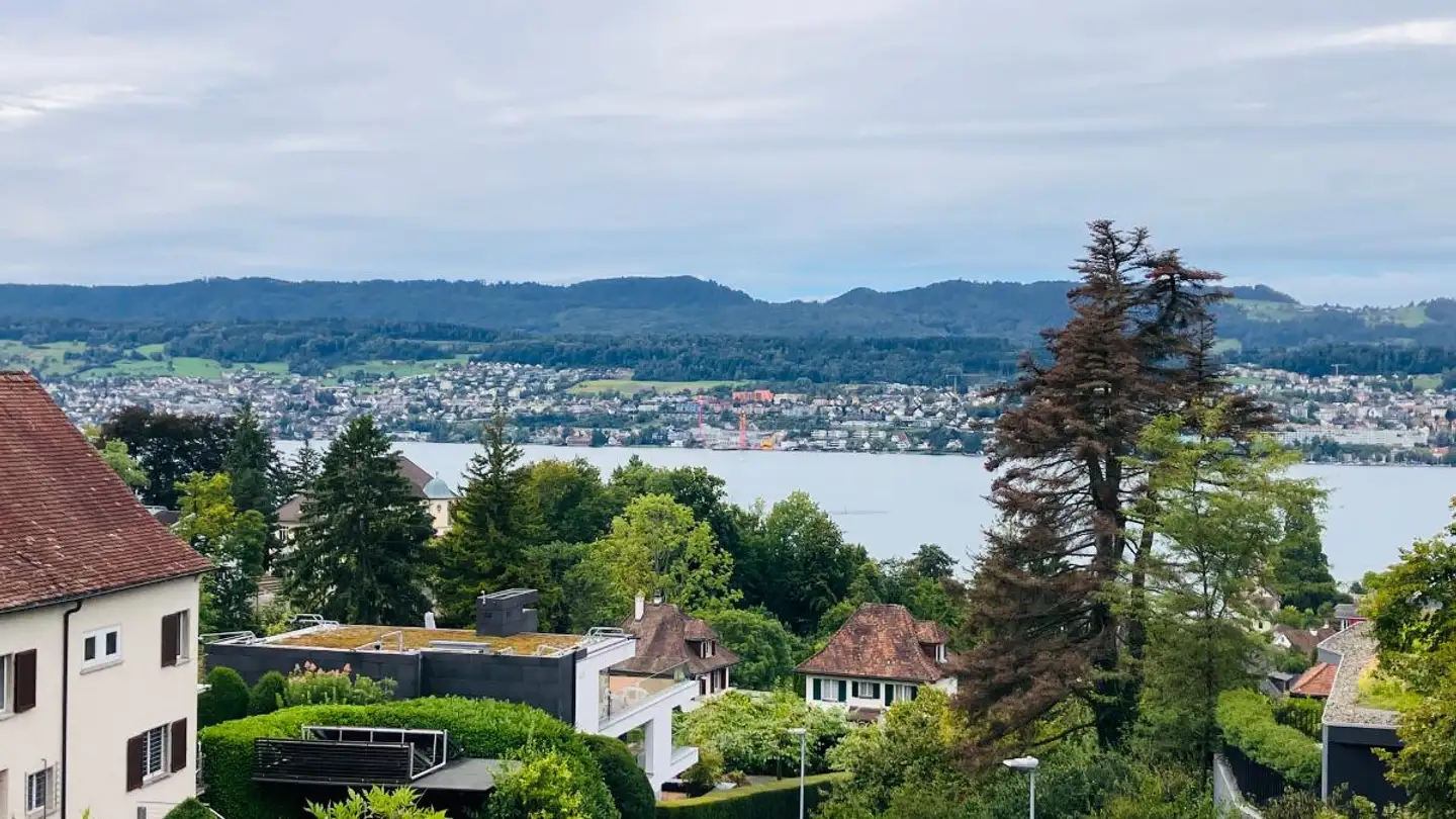 Apartment for sale - Weinbergstrasse 38, 8703 Erlenbach ZH