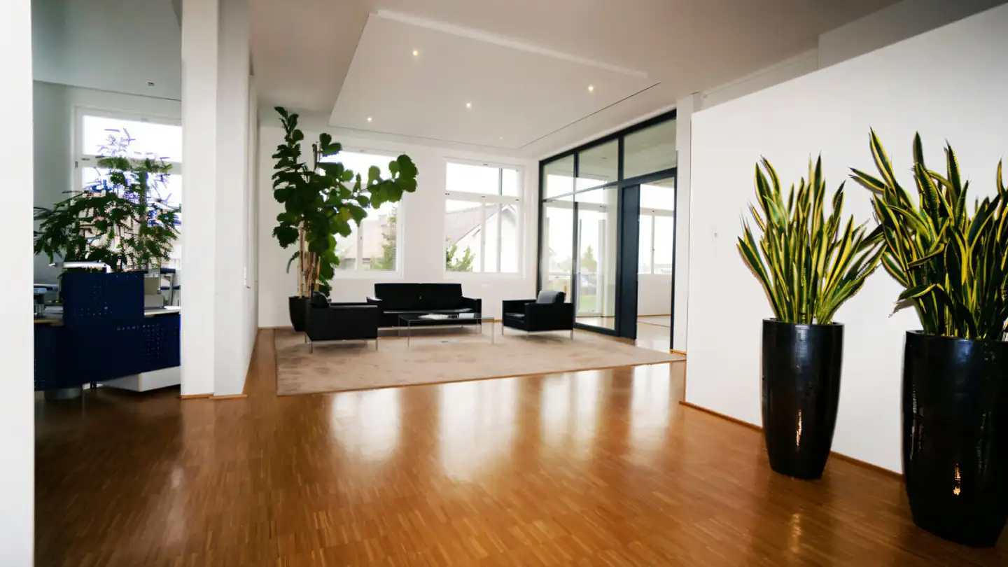 Bürofläche kaufen - Bahnhofstrasse 20, 8272 Ermatingen - Foto 4