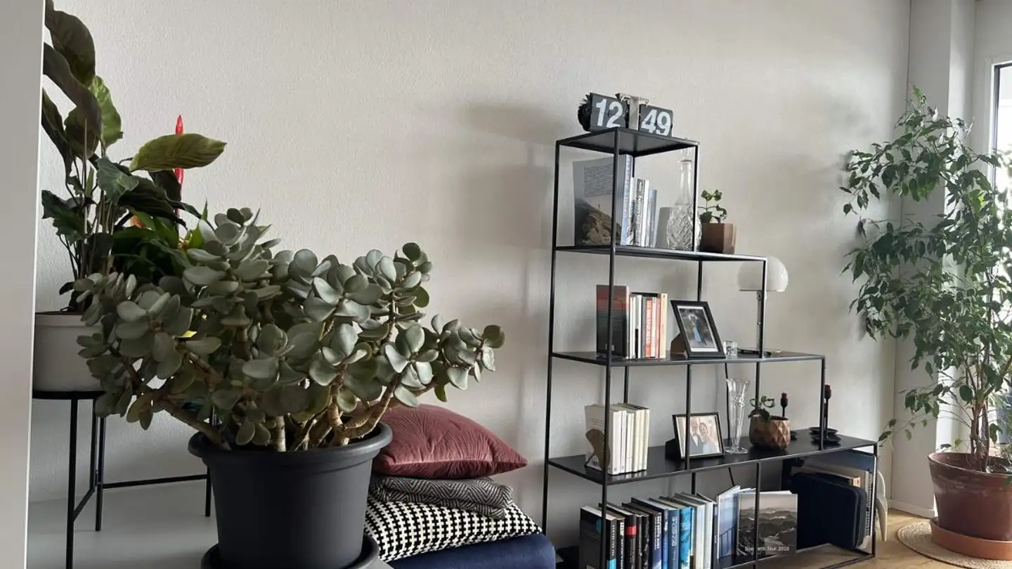 Appartamento in affitto - Fabrikgasse 9, 8810 Horgen - Foto 3