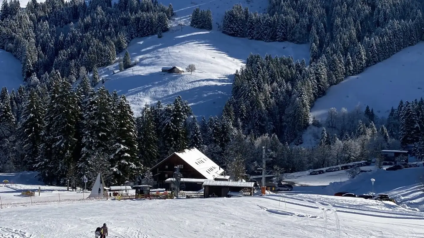 Wohnung mieten - Moléson, 1663 Moléson-sur-Gruyères