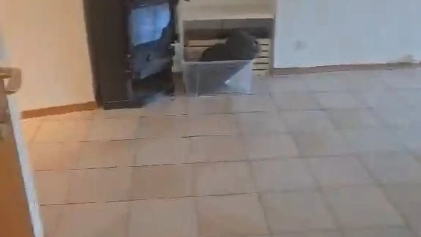 Appartamento in affitto - Rue Du Grand Faubourg 5, 1147 Montricher