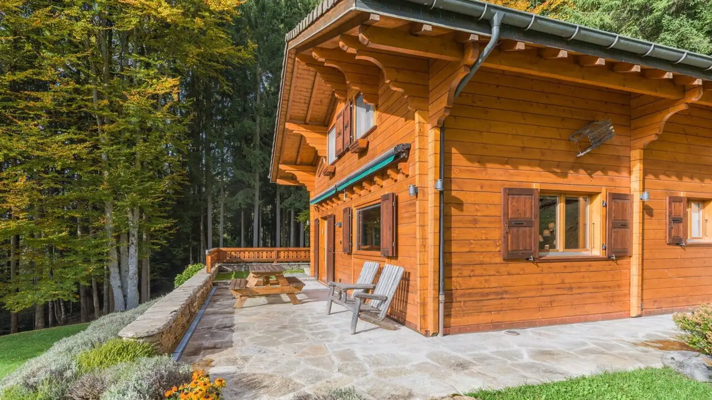 Chalet for sale - 1882 Gryon - Photo 3