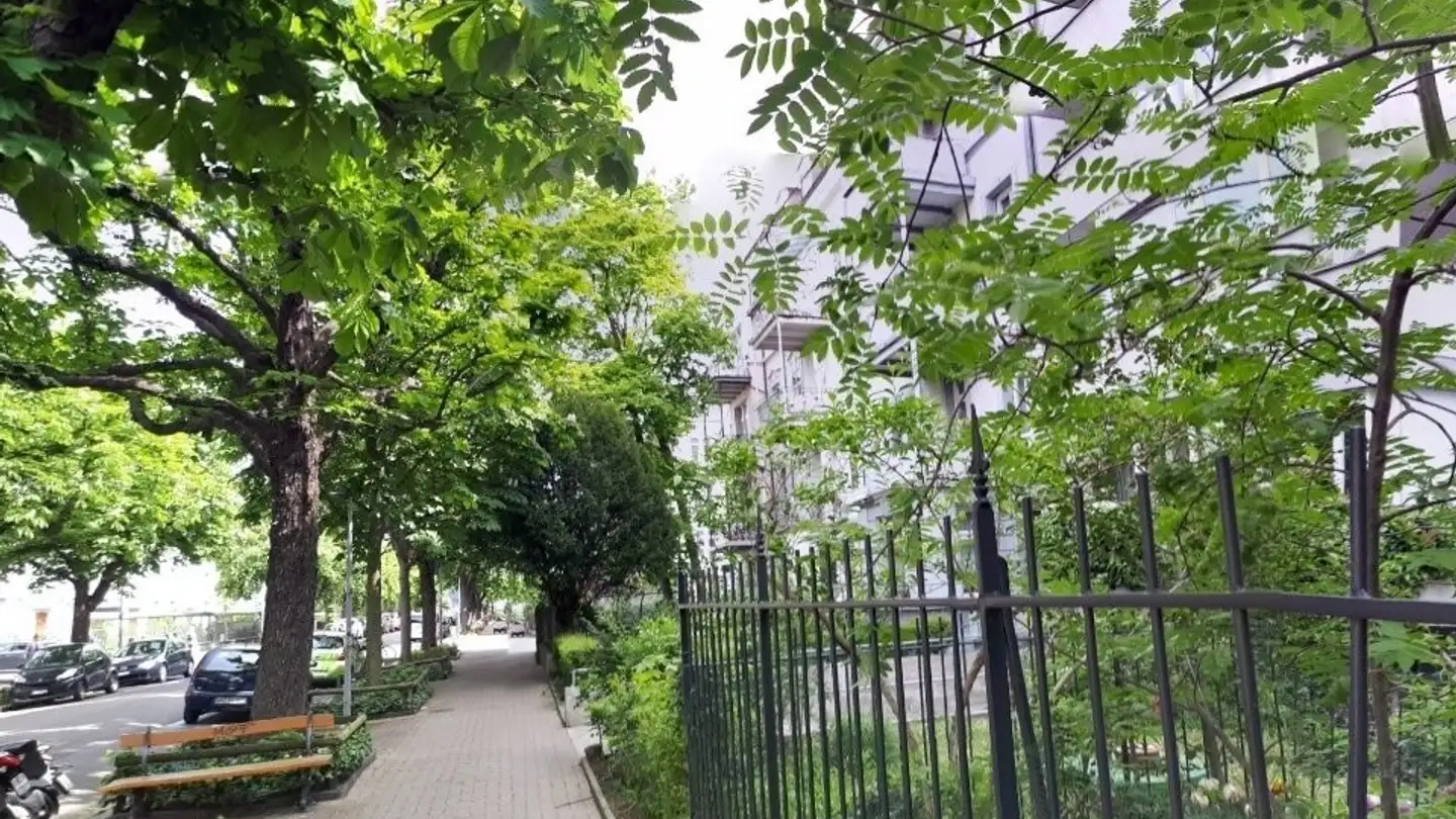 Wohnung mieten - Delsbergerallee 50, 4053 Basel
