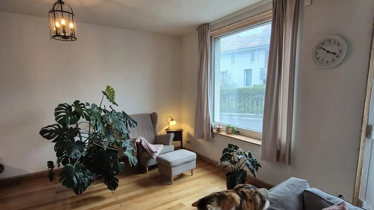 Appartamento in affitto - Hauptstrasse 67, 8414 Buch am Irchel - Photo 2