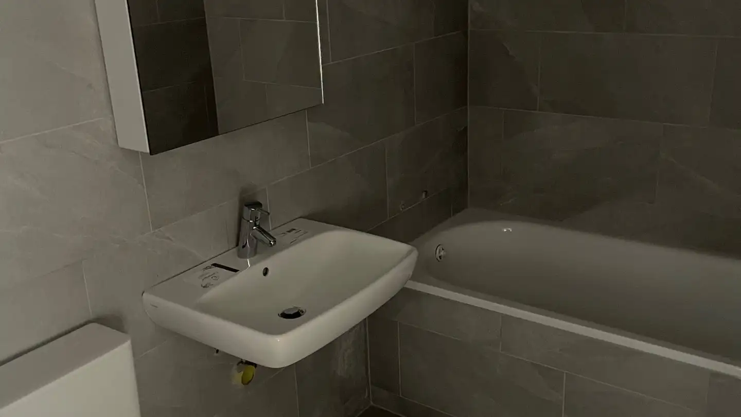 Appartamento in affitto - 8903 Birmensdorf ZH - Foto 2