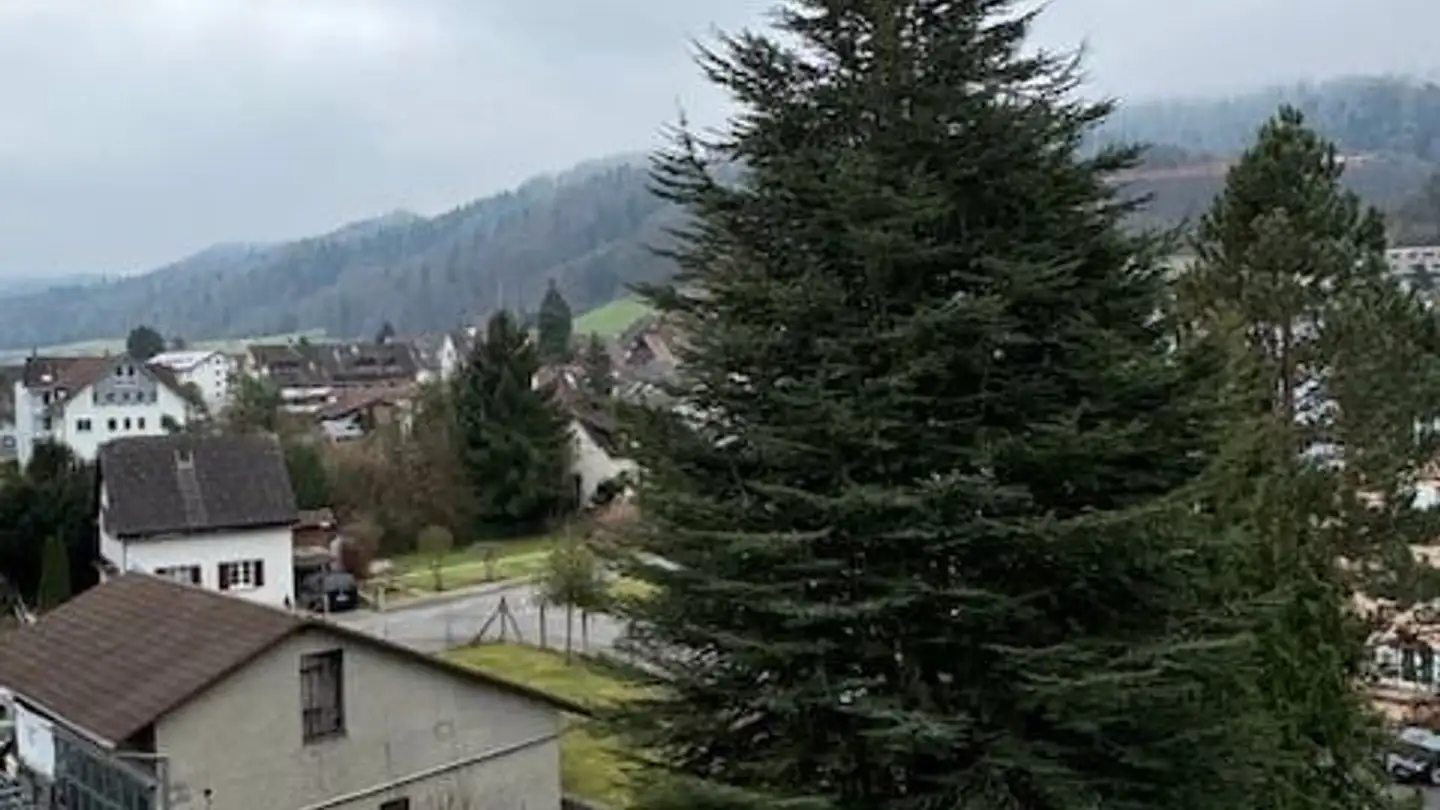 Appartement à louer - Zürcherstrasse 152, 5432 Neuenhof