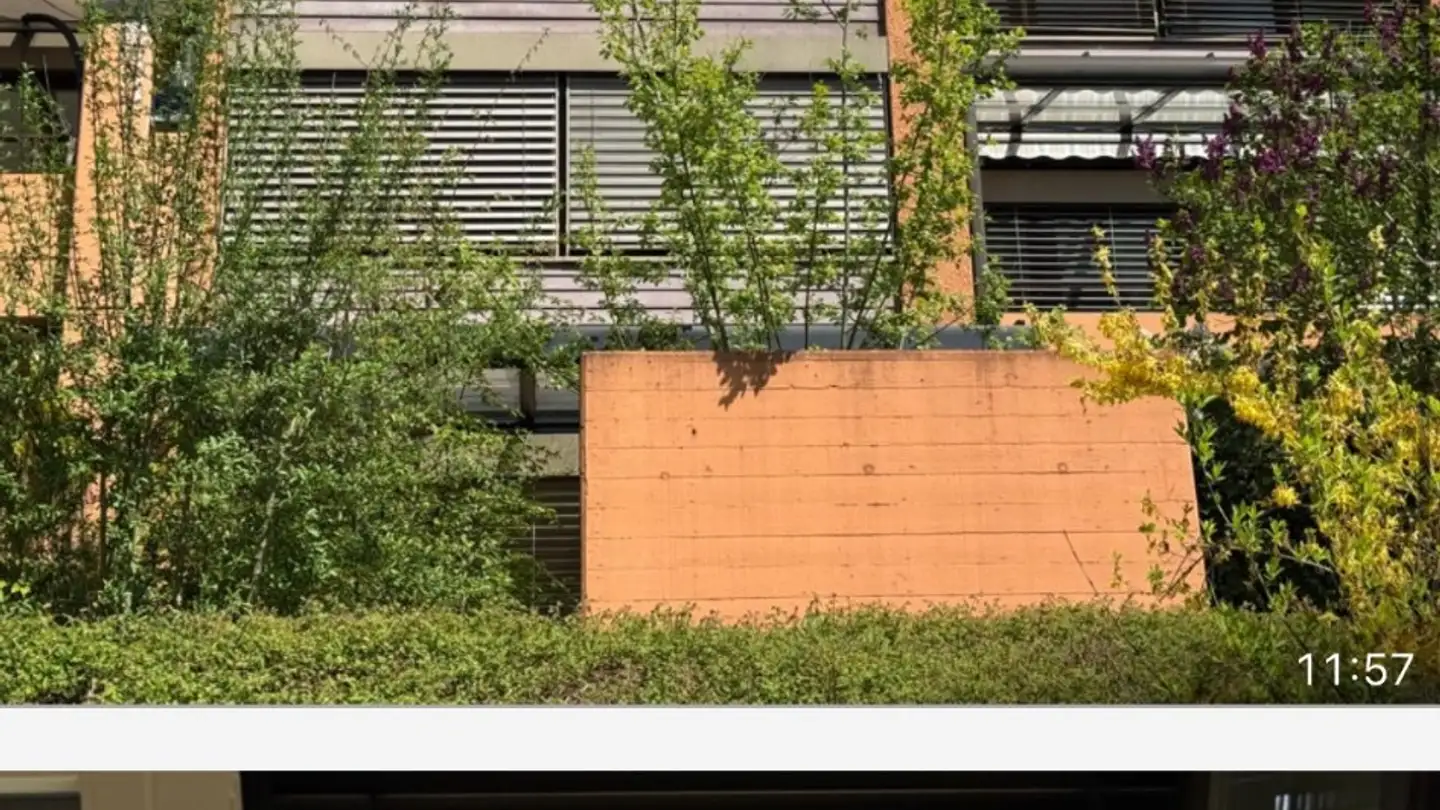 Appartamento in affitto - 8903 Birmensdorf ZH - Foto 4