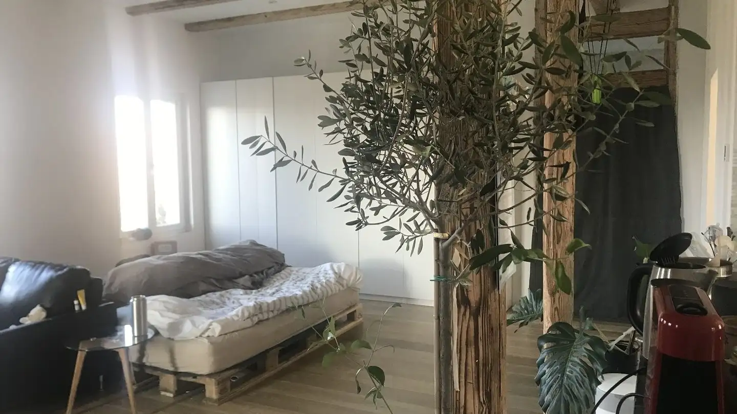 Appartamento in affitto - Bad Erlosenstrasse 7, 8340 Hinwil