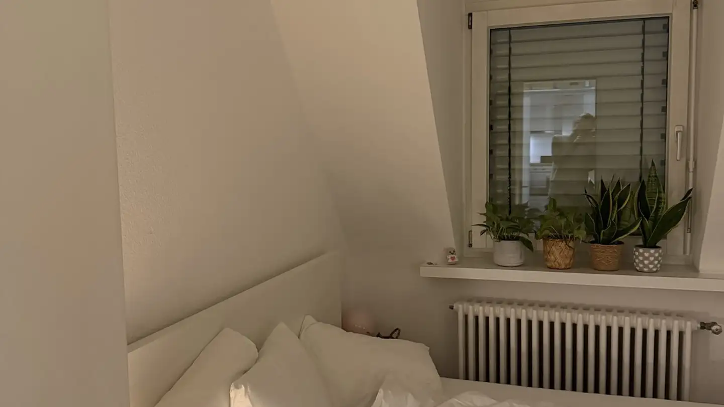 Stanza singola in affitto - Martastrasse, 8003 Zürich - Foto 2