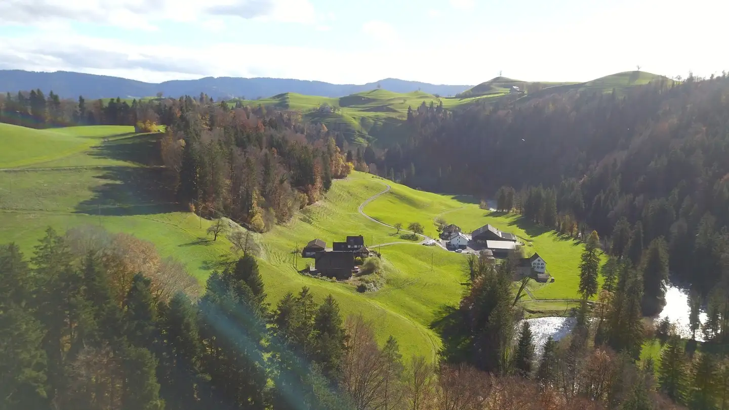 Casa singola in affitto - 8816 Hirzel - Photo 2