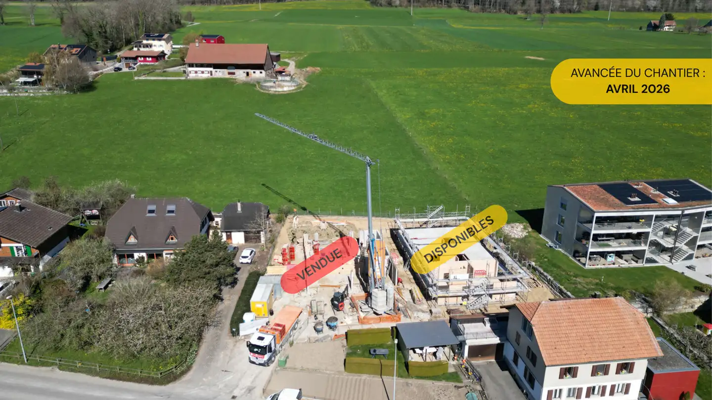 Höhlenhaus kaufen - Route De Villaz 15, 1690 Lussy FR