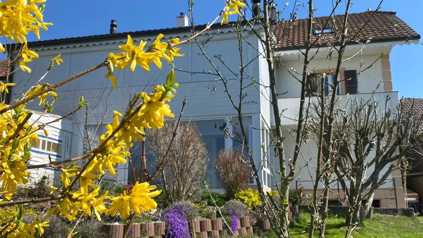 Appartamento in affitto - Impasse Des Rochettes 8, 1776 Montagny-la-Ville